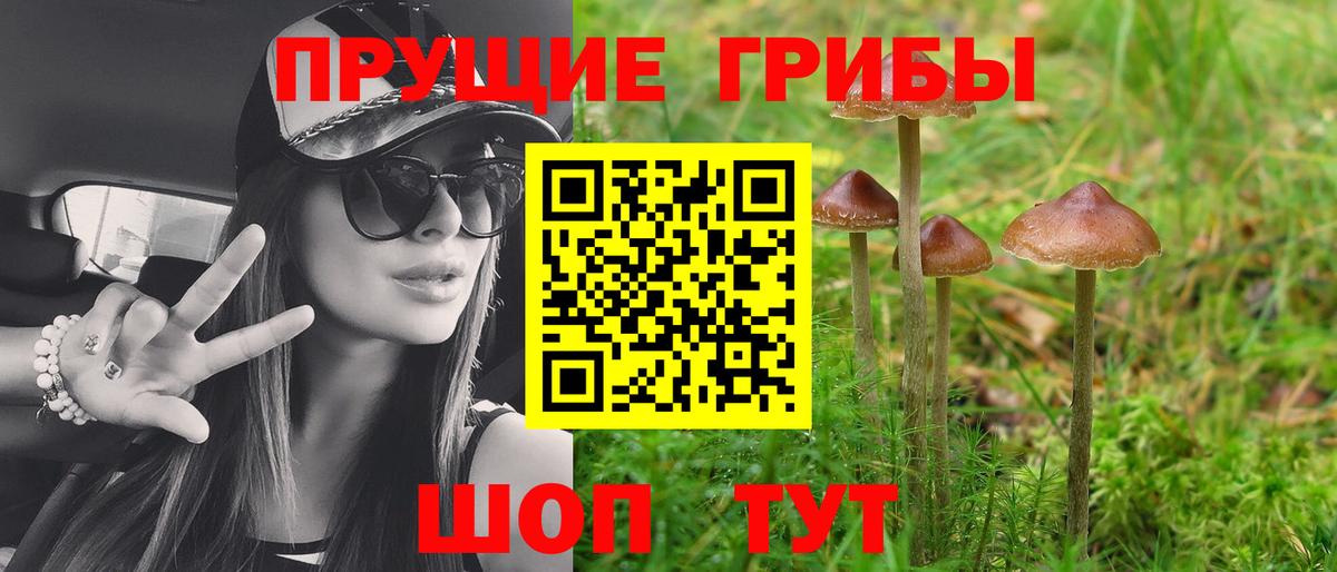 Галлюциногенные грибы прущие грибы Ликино-Дулёво