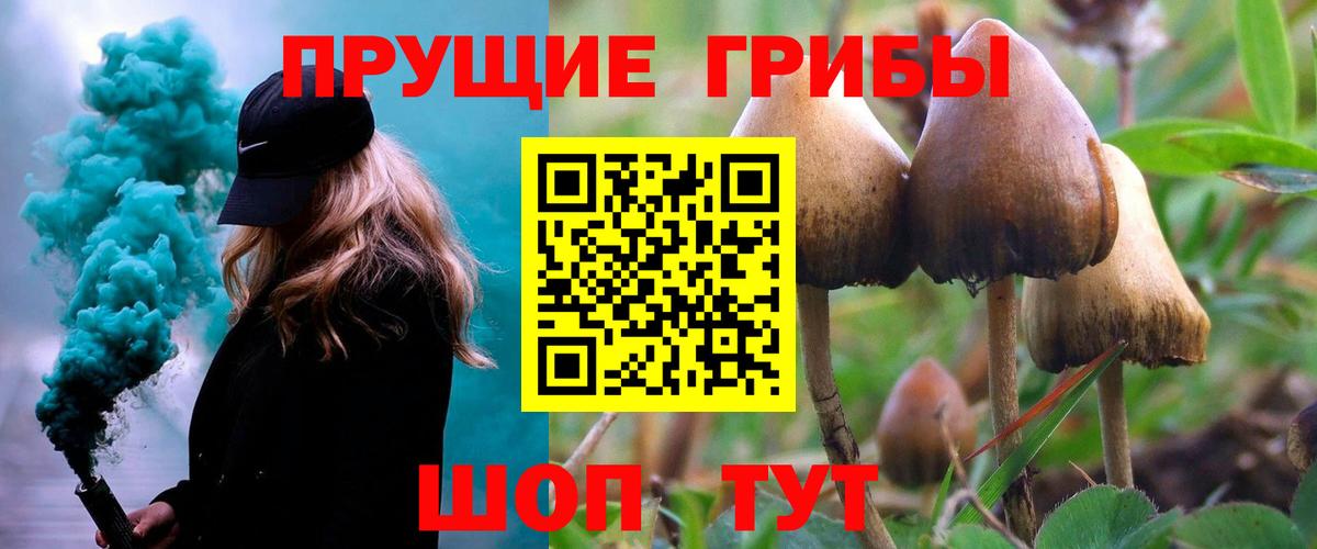 Галлюциногенные грибы Psilocybine cubensis  Вход с VPN  Ликино-Дулёво 